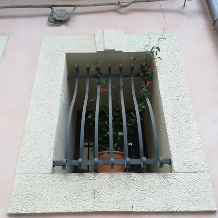 Cirasa *