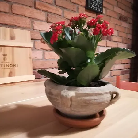 Cirasa Σπίτι διακοπών